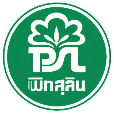 พิทสุลิน logo