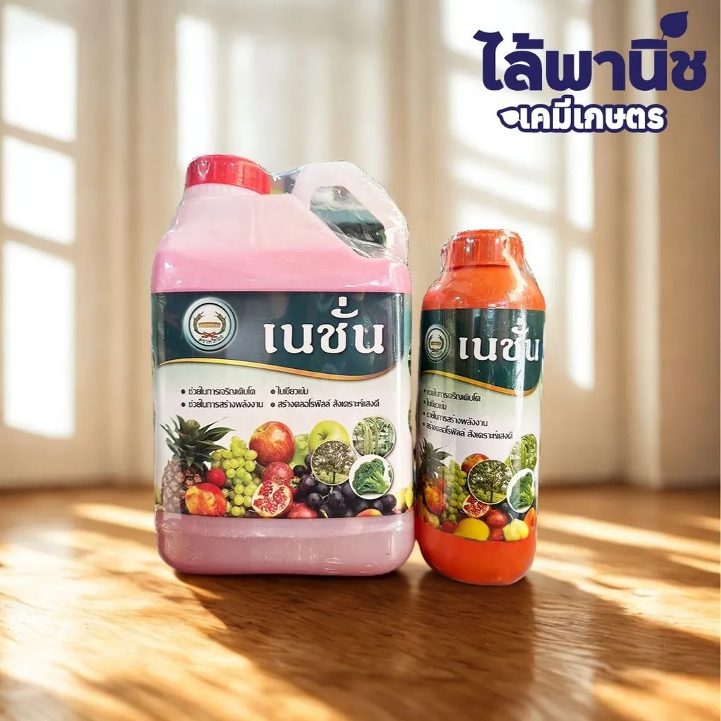 ฮอร์โมนและอาหารเสริม เชียร์ .webp.webp