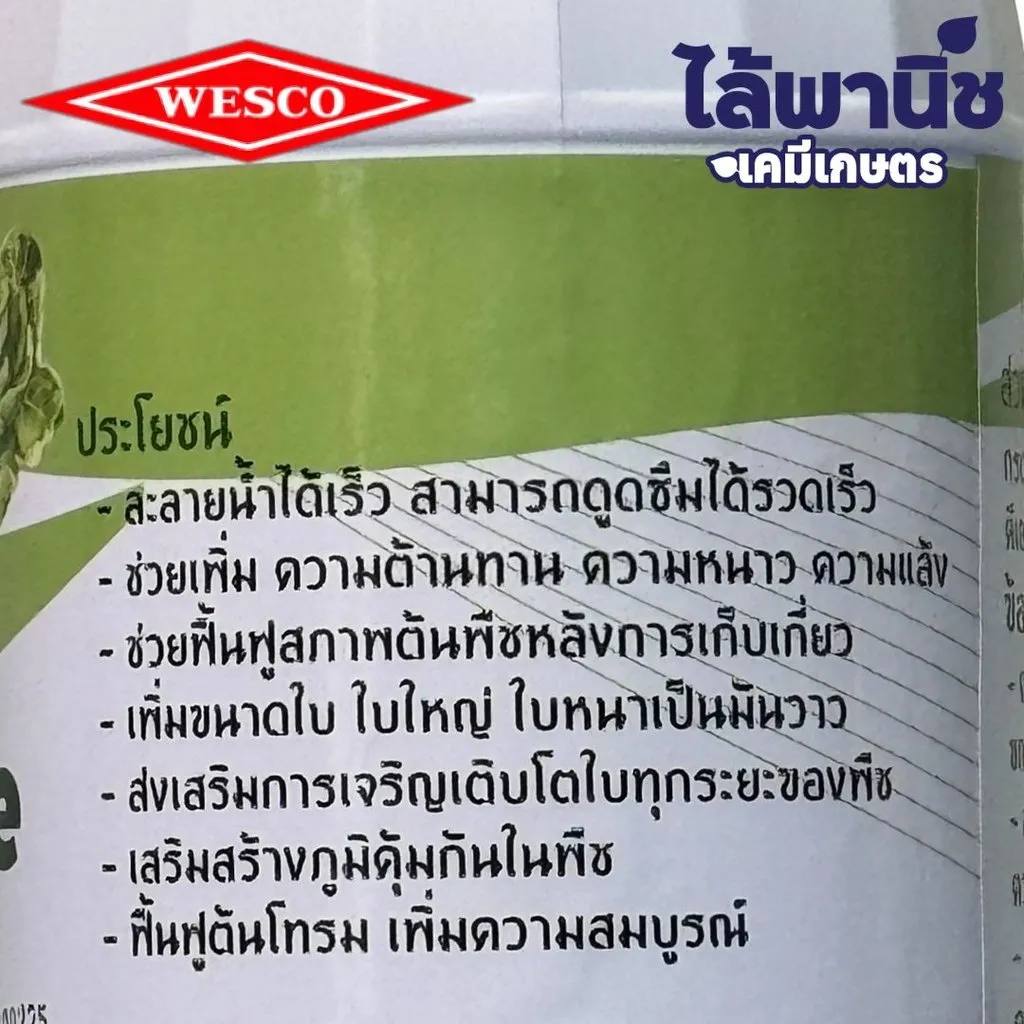 133_result.webp
