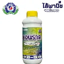 ยากำจัดแมลง คอนราด คลอแรนทรานิลิโพรล ดานหน้า.webp