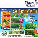 ยาฆ่าหญ้า ควิซาโลฟอป พี-เอทิล รูป.webp