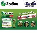 ยากำจัดแมลง คิวเรียม ลูเฟนนูรอน+อีมาเมกตินเบนโซเอต.webp