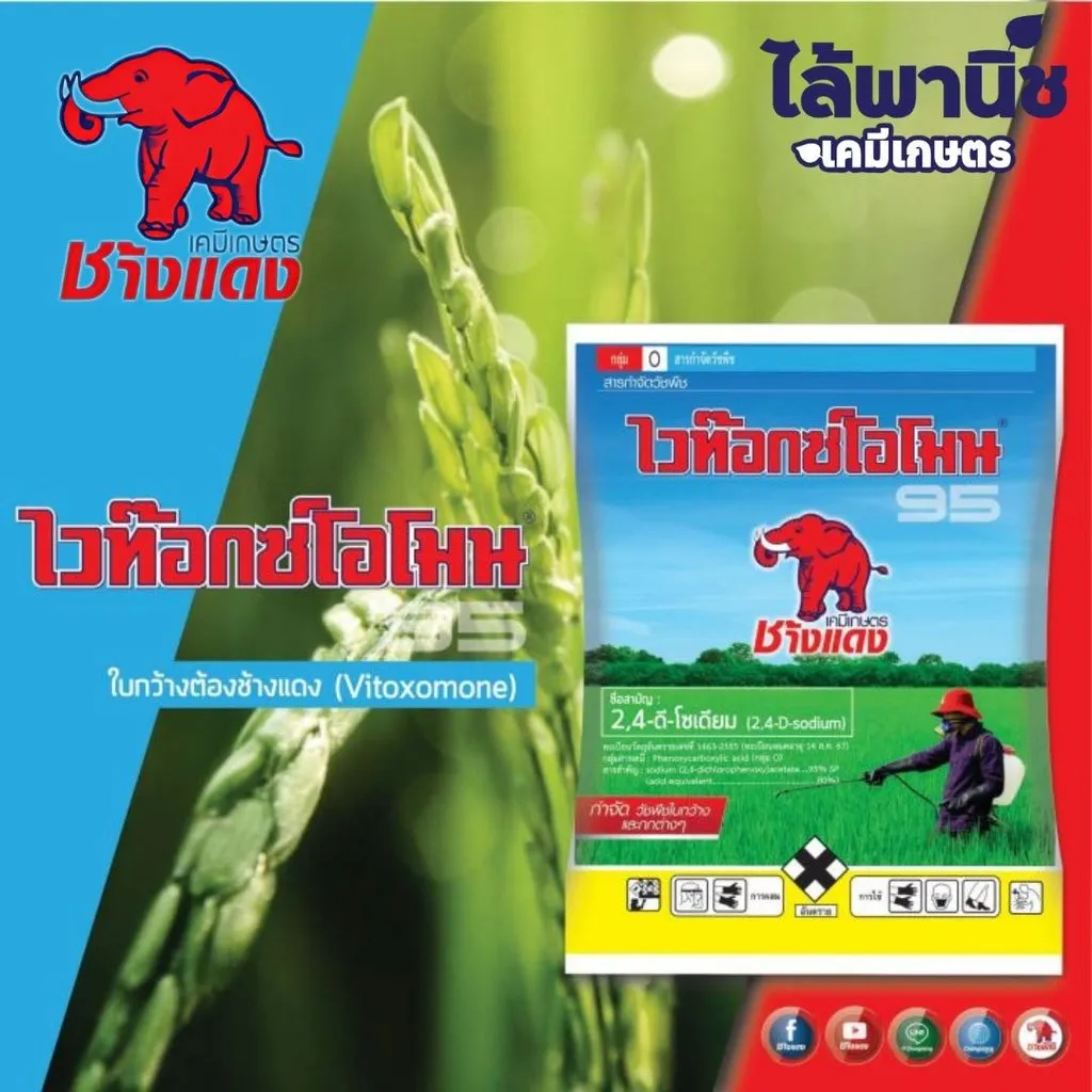 ยาฆ่าหญ้า ช้างแดง รูป.webp