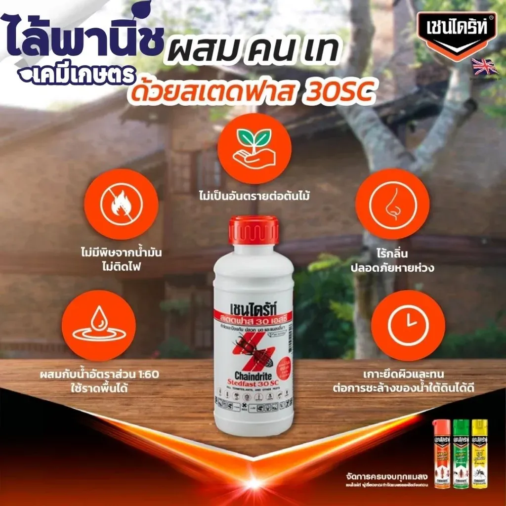 เชนไดร์ท1L กำจัดปลวก.webp