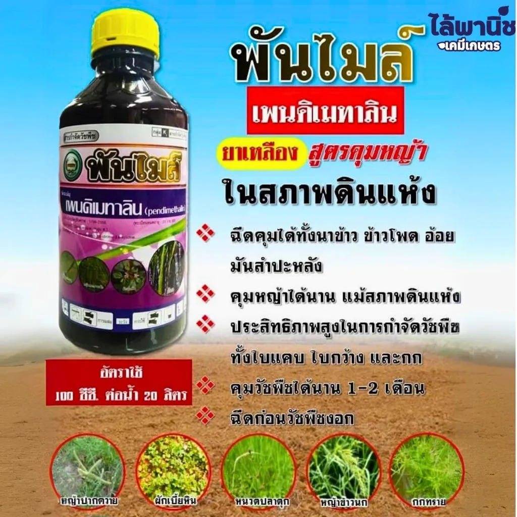 พันไมล์ เพนดิเมทาลิน แนะนำ.webp