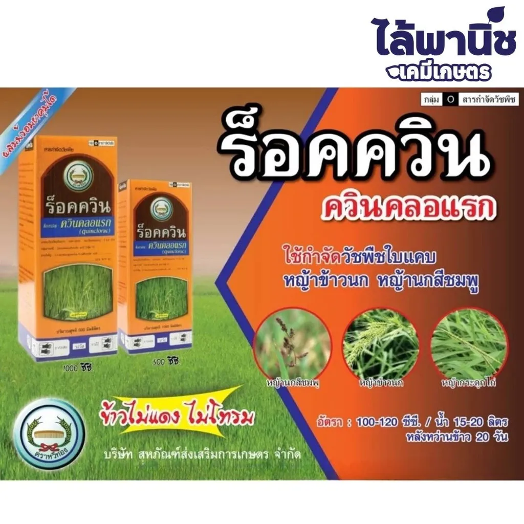 ยาฆ่าหญ้า ร็อคควิน ควินคลอแรก รูป.webp