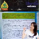 ยาฆ่าหญ้า วินวีด เพรทิลาคลอร์ วิธีใช้.webp