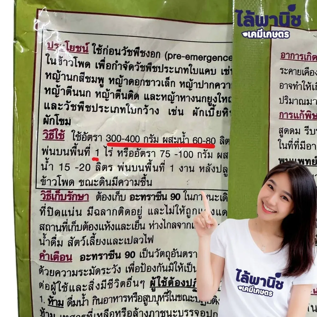 ยาฆ่าหญ้า อะทราซีน 90 วิธีใช้.webp
