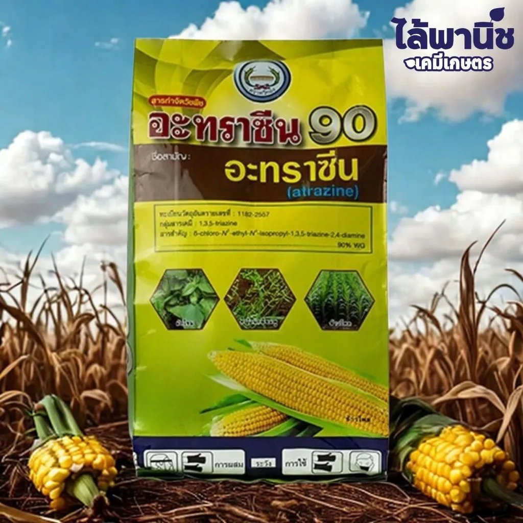 ยาฆ่าหญ้า อะทราซีน 90 .webp