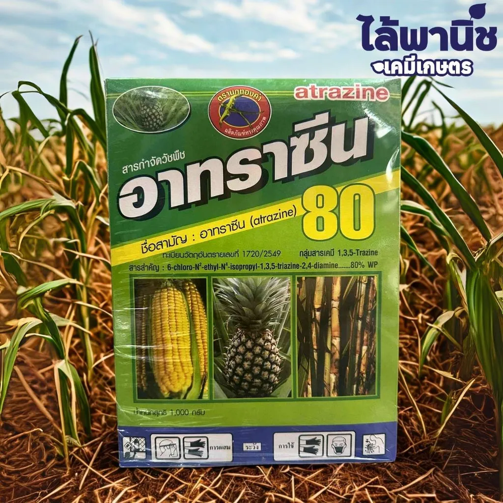 ยาฆ่าหญ้า อาทราซีน80 อะทราซีน.webp