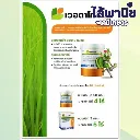 ยากำจัดแมลง เวอตาโกร50g คลอแรนทรานิลิโพรล+ไทอะมีทอกแซม.webp