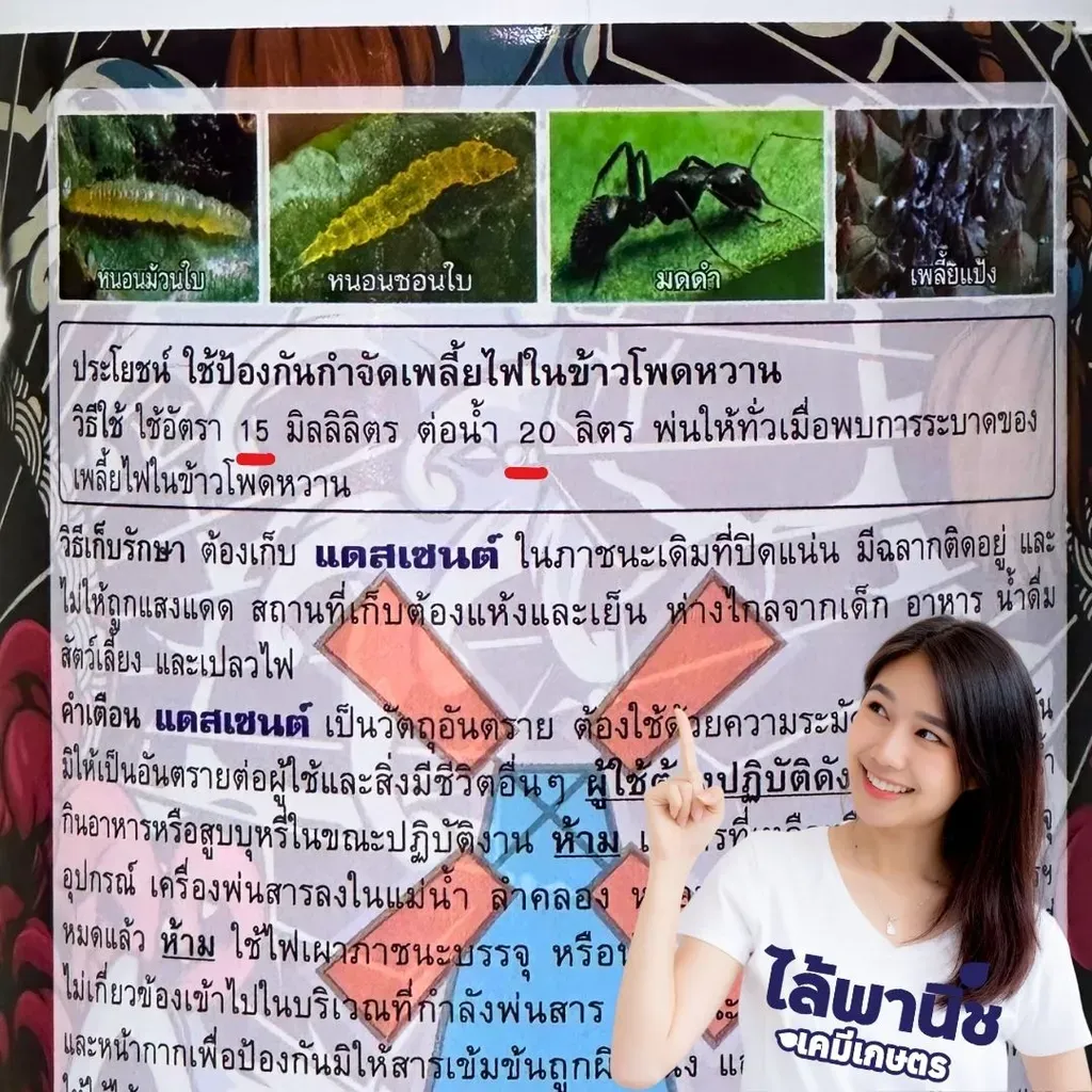 ยากำจัดแมลง แดสเซนต์ ฟิโพนนิล วิธีใช้.webp