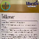 ยากำจัดแมลง โฟลิเทค เบตา-ไซฟลูทริน วิธีใช้.webp