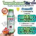 ยากำจัดแมลง ไซเพอร์ทรอยด์ ไซเพอร์เมทริน.webp