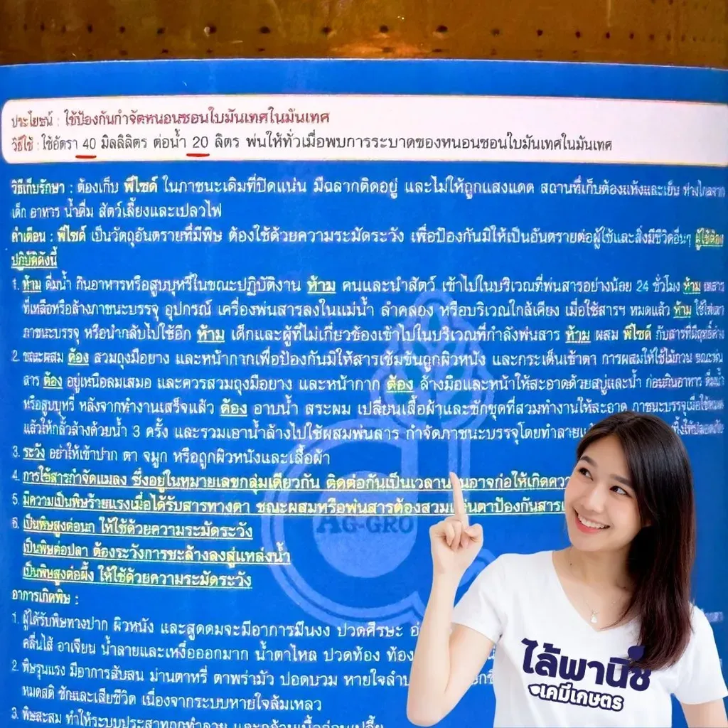 207.webp