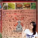 ยากำจัดแมลง ไลก้า 500cc แลมบ์ดา-ไซฮาโลทริน วิธีใช้.webp