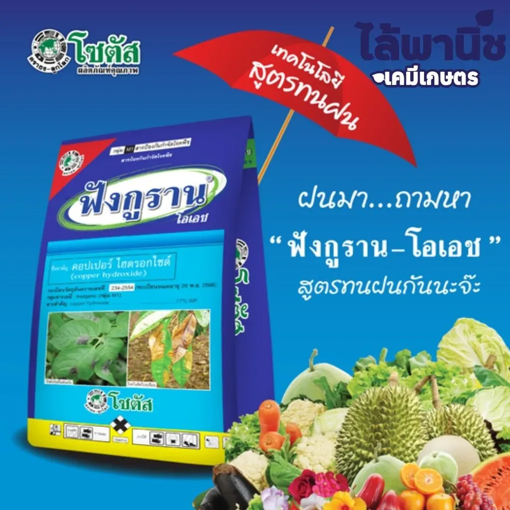 ยากำจัดโรคพืช ฟังกูราน คอปเปอร์ไฮดรอกไซด์ แนะนำ.webp