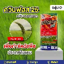 LINE_ALBUM_Banner (TikTok)_241016_7.webp