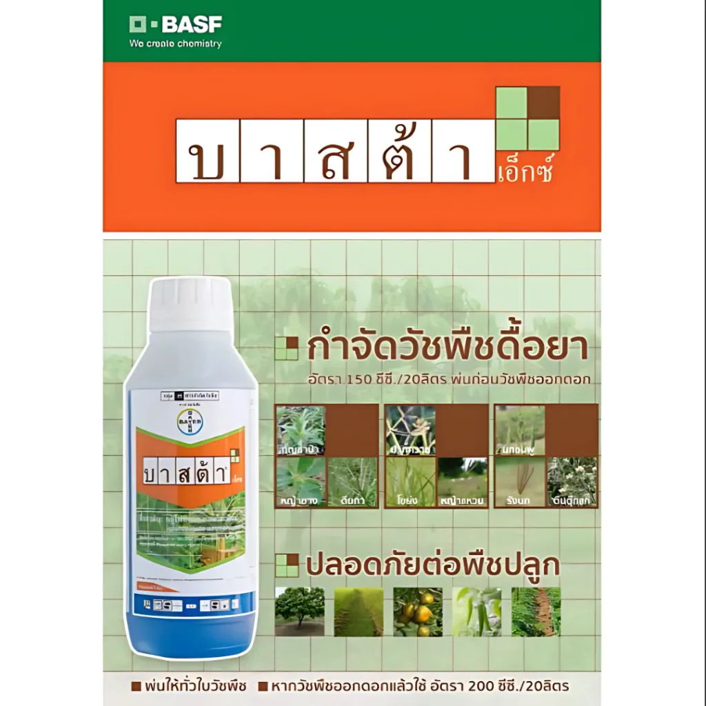 57.webp