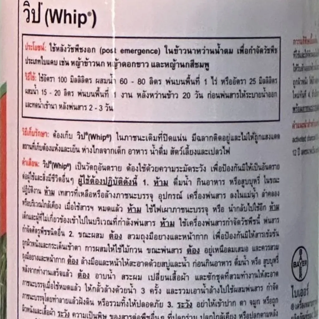 141.webp